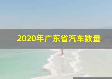 2020年广东省汽车数量