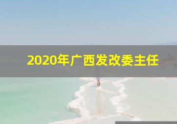 2020年广西发改委主任