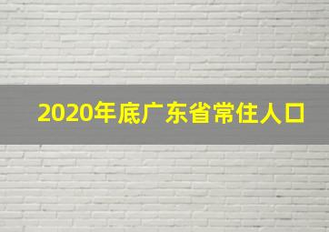 2020年底广东省常住人口