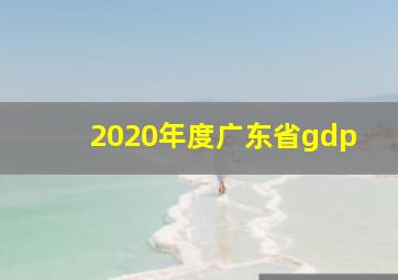 2020年度广东省gdp