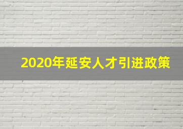 2020年延安人才引进政策