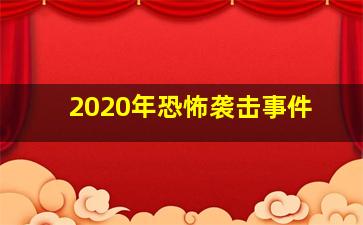 2020年恐怖袭击事件