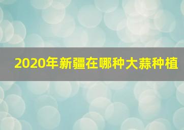 2020年新疆在哪种大蒜种植