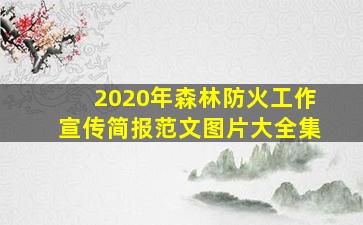 2020年森林防火工作宣传简报范文图片大全集