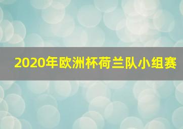 2020年欧洲杯荷兰队小组赛