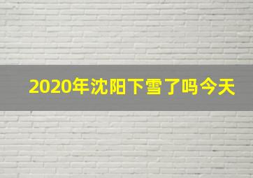 2020年沈阳下雪了吗今天