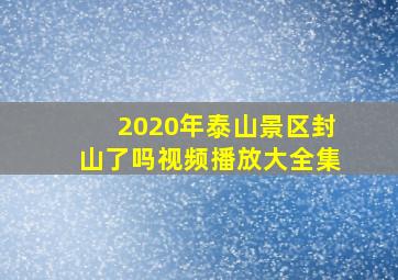 2020年泰山景区封山了吗视频播放大全集