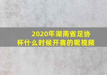 2020年湖南省足协杯什么时候开赛的呢视频