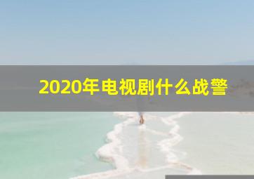 2020年电视剧什么战警