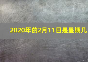 2020年的2月11日是星期几