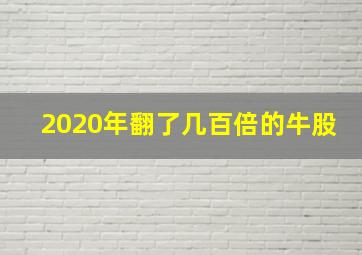 2020年翻了几百倍的牛股