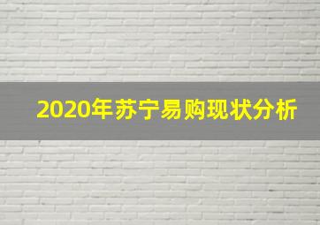 2020年苏宁易购现状分析