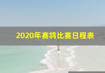 2020年赛鸽比赛日程表