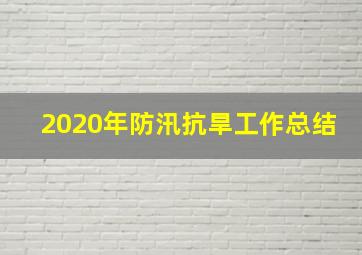 2020年防汛抗旱工作总结