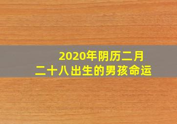 2020年阴历二月二十八出生的男孩命运