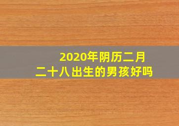 2020年阴历二月二十八出生的男孩好吗