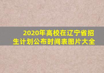 2020年高校在辽宁省招生计划公布时间表图片大全