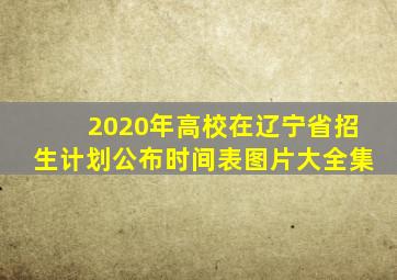 2020年高校在辽宁省招生计划公布时间表图片大全集