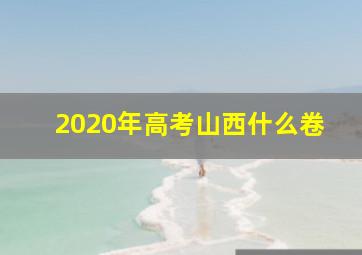 2020年高考山西什么卷