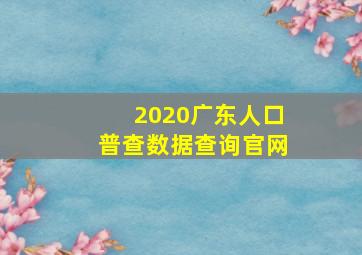 2020广东人口普查数据查询官网