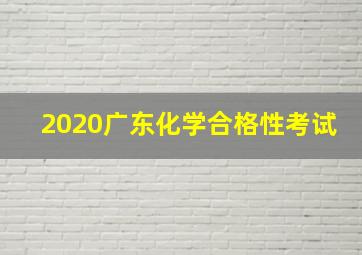 2020广东化学合格性考试