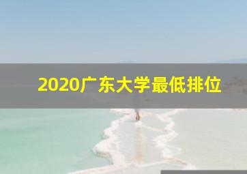 2020广东大学最低排位