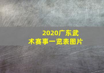 2020广东武术赛事一览表图片