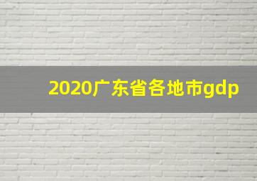 2020广东省各地市gdp