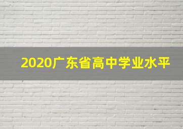 2020广东省高中学业水平