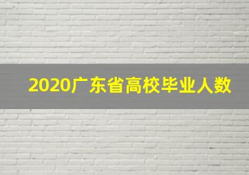 2020广东省高校毕业人数