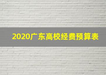 2020广东高校经费预算表