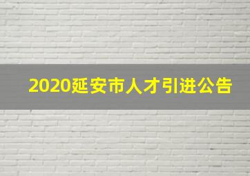 2020延安市人才引进公告