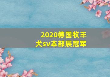 2020德国牧羊犬sv本部展冠军