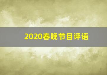 2020春晚节目评语