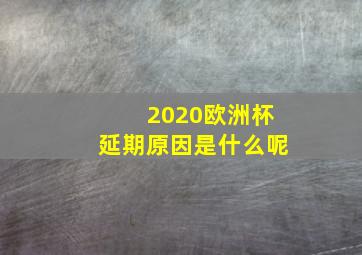 2020欧洲杯延期原因是什么呢