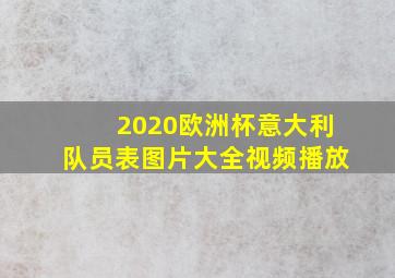 2020欧洲杯意大利队员表图片大全视频播放