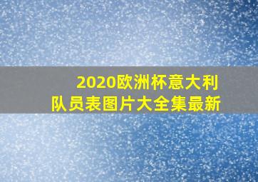 2020欧洲杯意大利队员表图片大全集最新