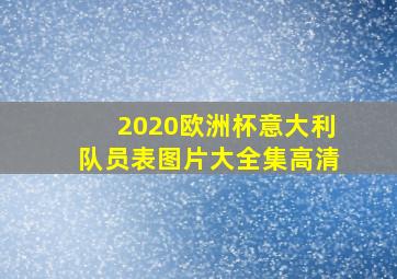 2020欧洲杯意大利队员表图片大全集高清