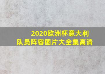 2020欧洲杯意大利队员阵容图片大全集高清