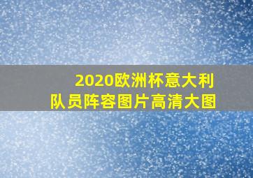 2020欧洲杯意大利队员阵容图片高清大图