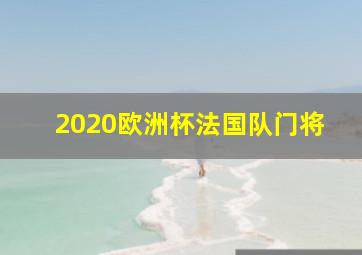 2020欧洲杯法国队门将