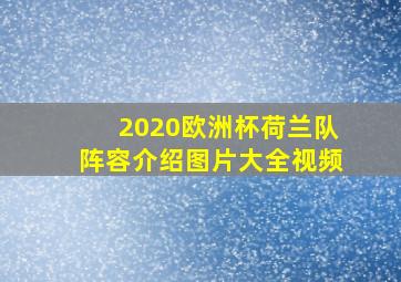 2020欧洲杯荷兰队阵容介绍图片大全视频