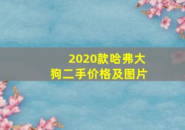 2020款哈弗大狗二手价格及图片