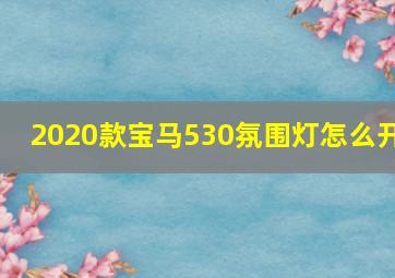 2020款宝马530氛围灯怎么开