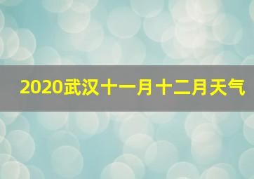 2020武汉十一月十二月天气