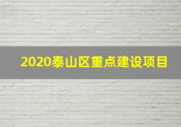 2020泰山区重点建设项目