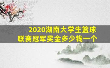 2020湖南大学生篮球联赛冠军奖金多少钱一个