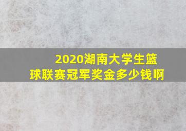 2020湖南大学生篮球联赛冠军奖金多少钱啊