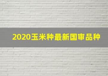 2020玉米种最新国审品种