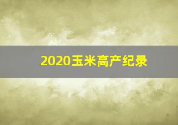 2020玉米高产纪录